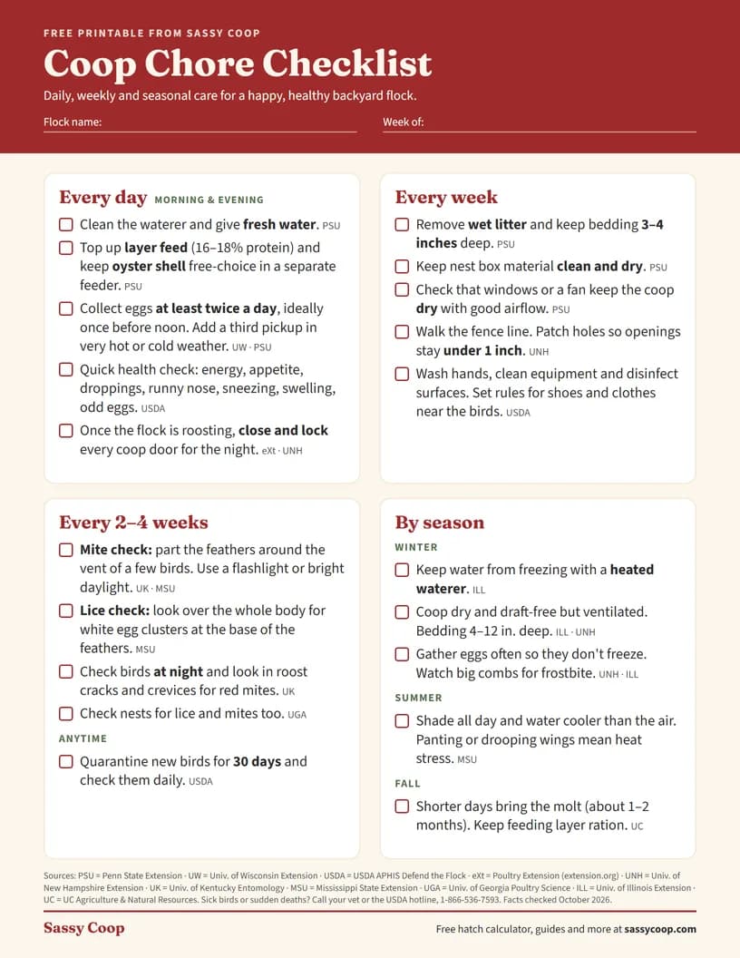 Preview of the one-page Coop Chore Checklist with daily, weekly, every 2–4 weeks and seasonal sections